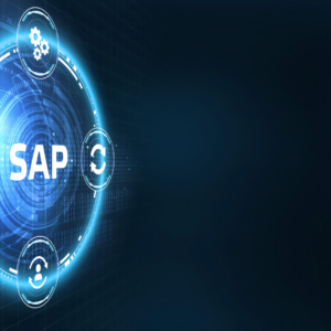 SAP S/4HANA: Herausforderungen meistern und Erfolg sichern